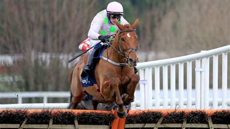 triumph hurdle betting.
